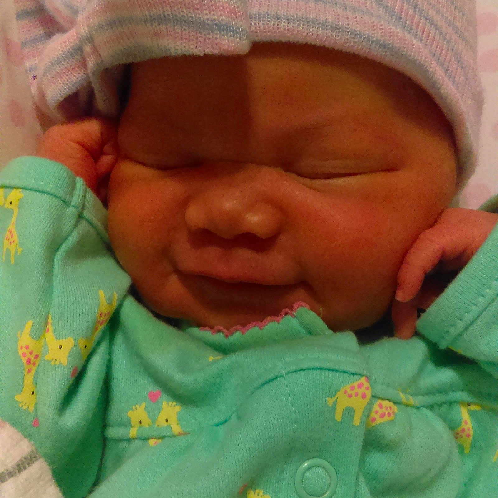 Kali joined the competition — help win amazing prizes!