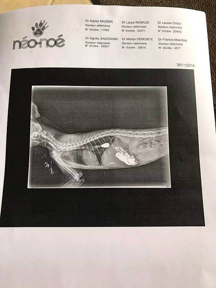 Aloha a rejoint le concours — aidez-le/la à gagner de superbes lots ! paper, paper_product, photographic_paper, room