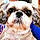 Tippy