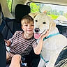 animal, back_seat, blue_harness, car, car_interior, child, companion, dog, family, golden_retriever, happy, outdoor, pet, portrait, road, smiling, striped_shirt, sunlight, travel, trees