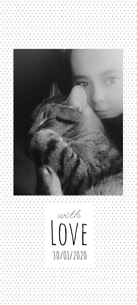 Mimi a rejoint le concours — aidez-le/la à gagner de superbes lots ! black_and_white, carnivore, cat, domestic_short_haired_cat, european_shorthair, felidae, kitten, nose, paw, photo_caption, photography, small_to_medium_sized_cats, snapshot, stock_photography, tabby_cat, text, whiskers