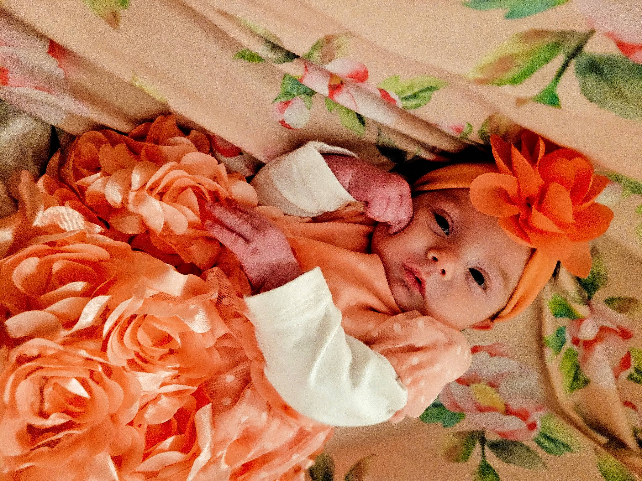 Hannaray is registered to the contest to win money with this photo: artificial_flower, bouquet, child, cut_flowers, floral_design, flower, flower_arranging, garden_roses, hand, happy, headwear, orange, peach, person, petal, pink, plant, rose, rose_family, rose_order