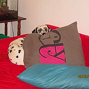 Chanel a rejoint le concours — aidez-le/la à gagner de superbes lots !