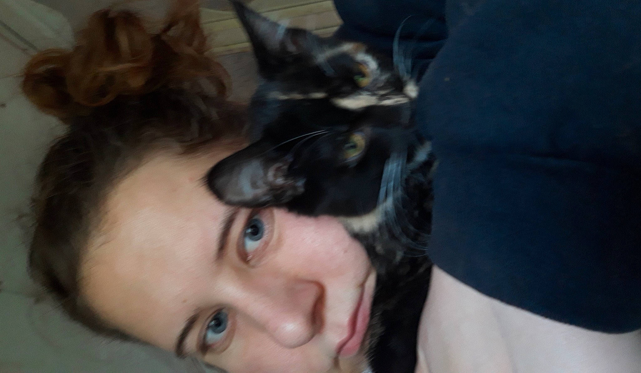 Callie joined the competition — help win amazing prizes! black_hair, carnivore, cat, child, domestic_short_haired_cat, dress, ear, eyelash, felidae, fur, gesture, happy, jaw, nose, plant, selfie, small_to_medium_sized_cats, smile, tree, whiskers