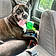Biggie