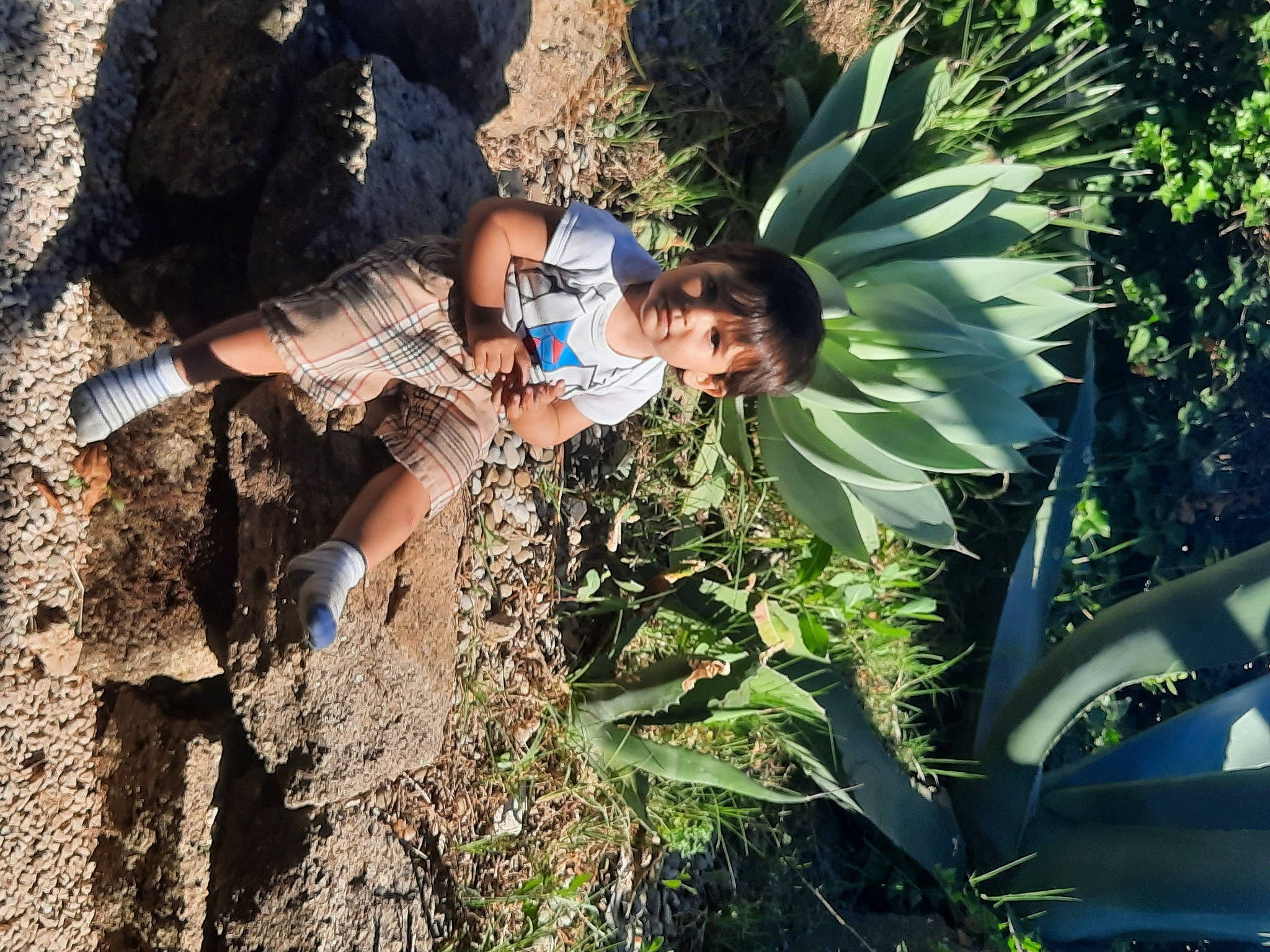 Richard participe au concours pour gagner de l'argent avec cette photo : adaptation, arecales, banana_family, banana_leaf, bedrock, forest, grass, jungle, landscape, leisure, outcrop, people_in_nature, person, plant, recreation, shorts, soil, t_shirt, terrestrial_plant, thigh