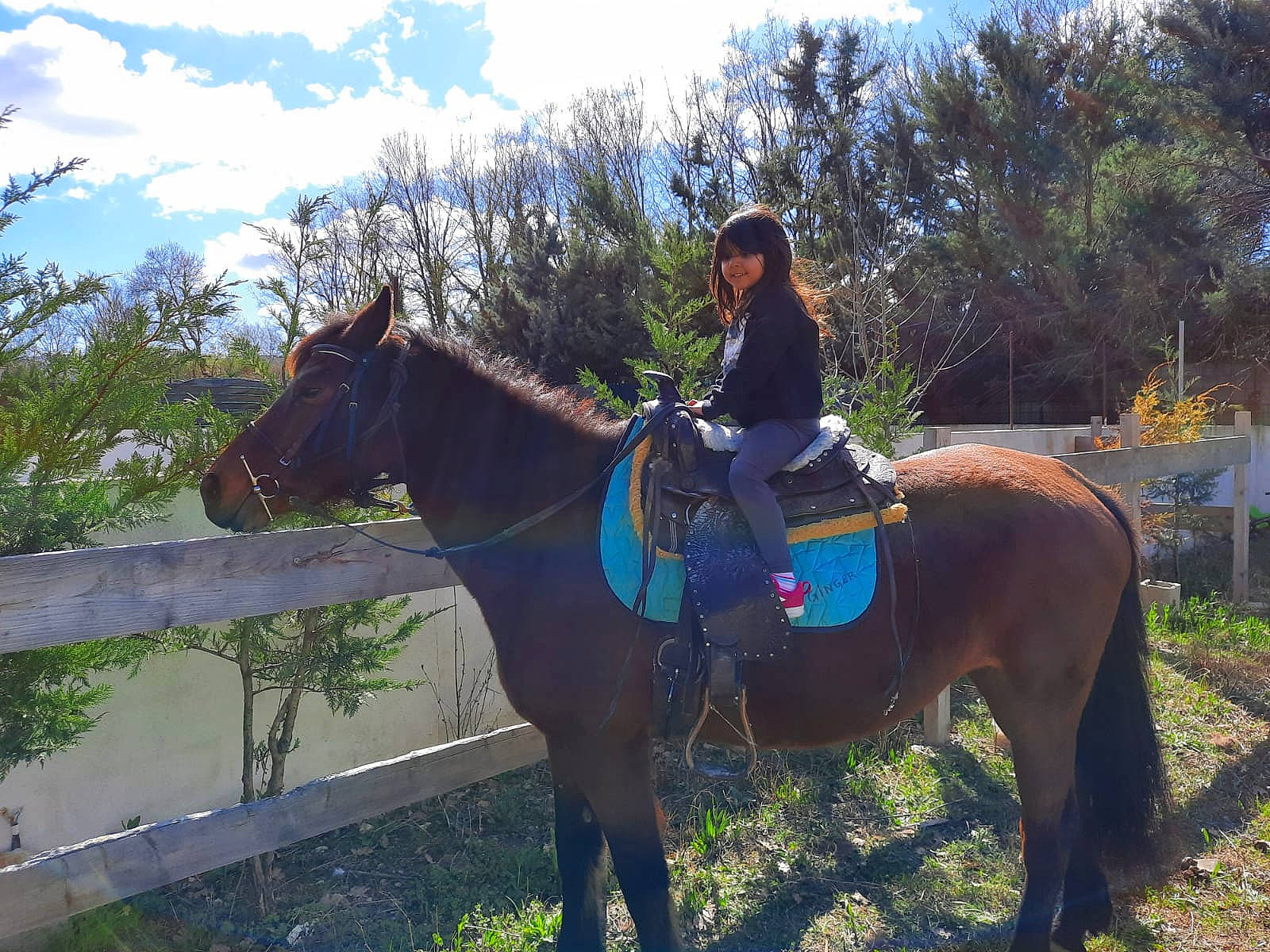 Tina participe au concours pour gagner de l'argent avec cette photo : bit, bridle, cloud, english_riding, equestrian_helmet, equestrian_sport, equestrianism, grass, horse, horse_supplies, horse_tack, joy, leisure, pack_animal, person, plant, recreation, rein, saddle, sky