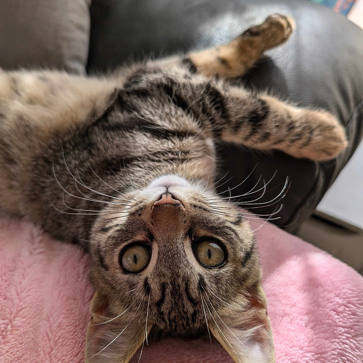 Yuki