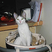 Caline a rejoint le concours — aidez-le/la à gagner de superbes lots !