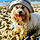 Winnie
