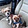 Buddy And Jj