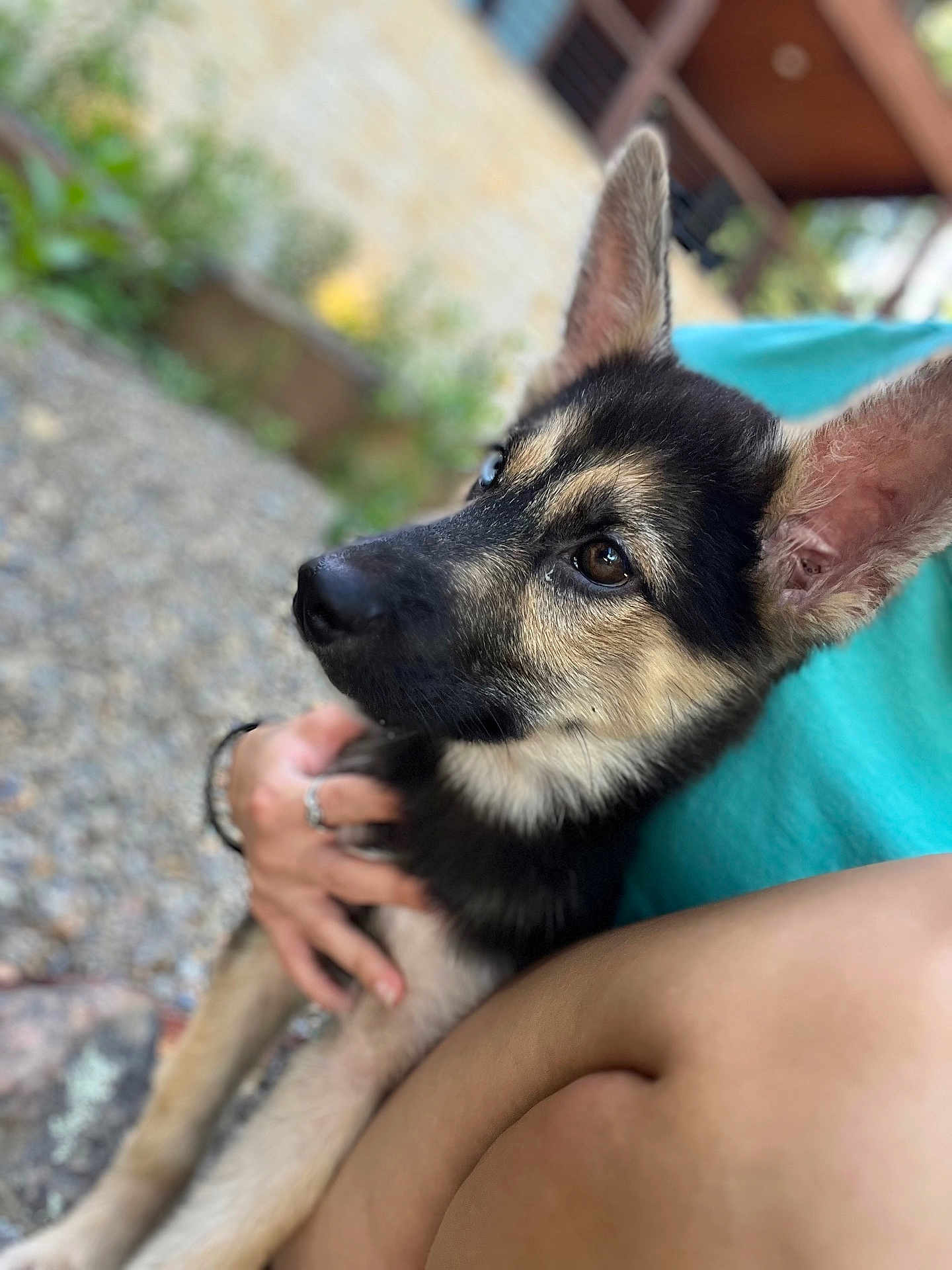 Freya