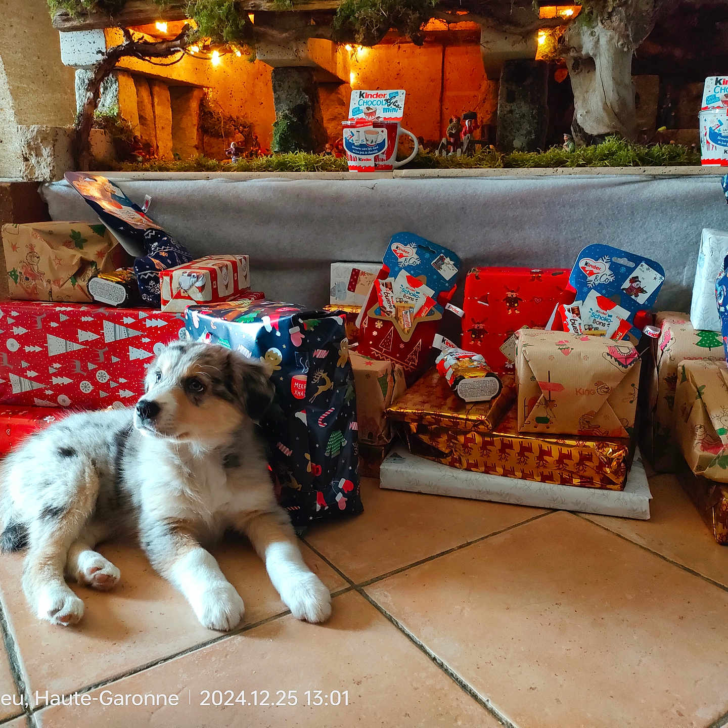Vicky a rejoint le concours — aidez-le/la à gagner de superbes lots ! accessories, animal, architecture, bag, box, building, canine, chair, couch, cup, cushion, dog, furniture, handbag, homedecor, indoors, livingroom, person, pet, room