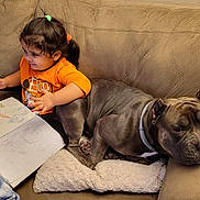 Zeus joined the competition — help win amazing prizes! child, dog, couch, drawing, book, pillow, indoor, brown, happy, hair_tie, clothing, pet, cozy, relaxed, toy, art, smiling, friendship, home, young