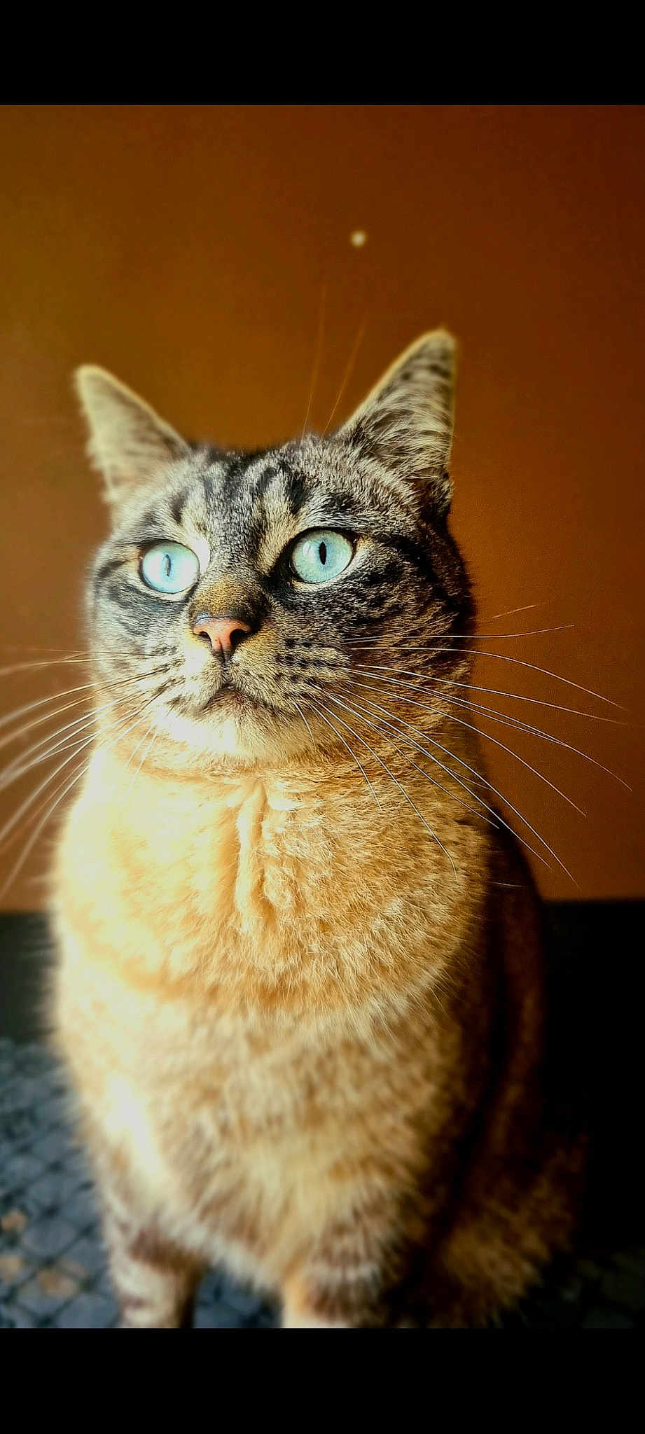 Alaska