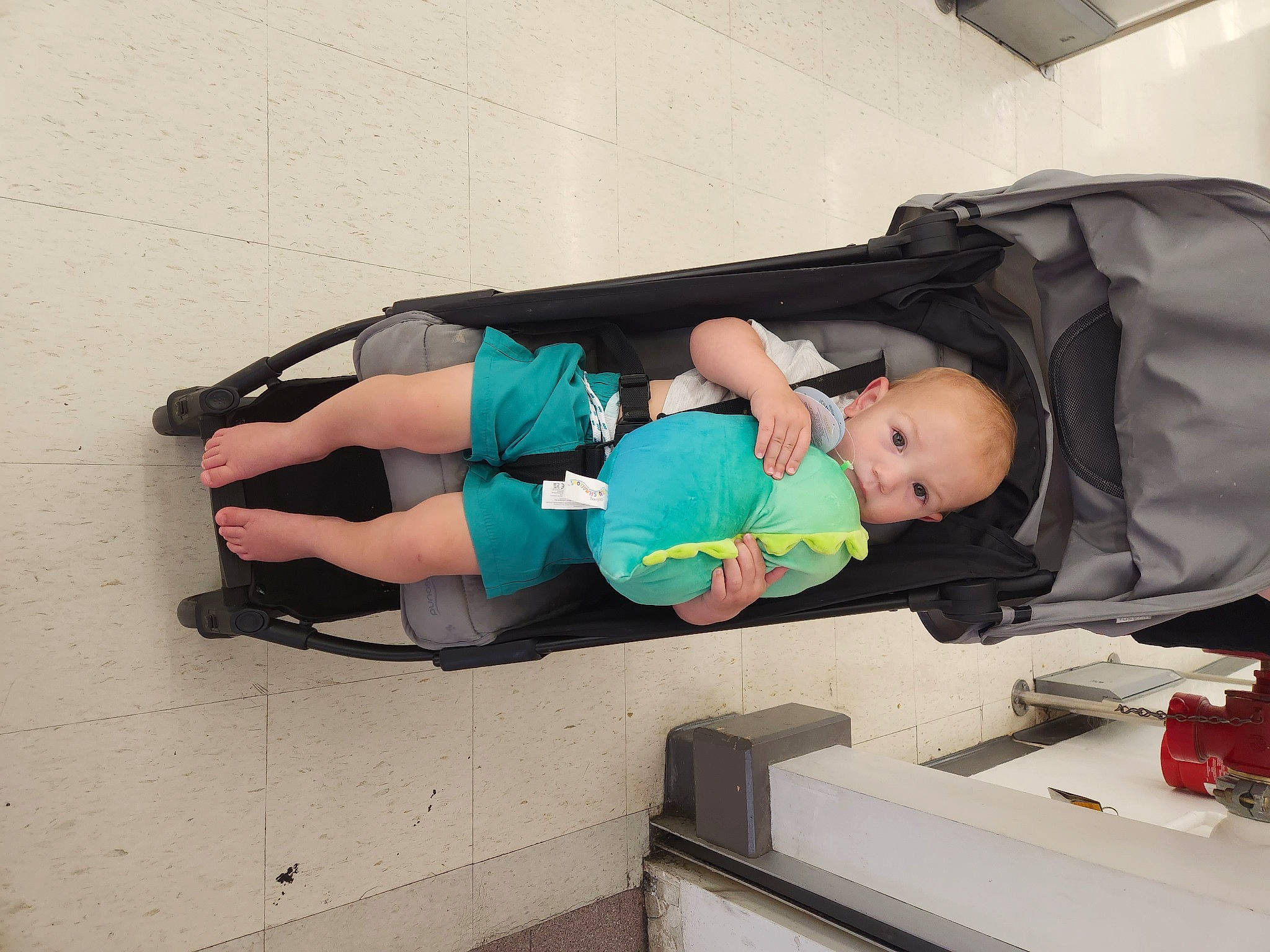 Lincoln joined the competition — help win amazing prizes! baby, baby_products, baby_toddler_clothing, bag, child, comfort, electric_blue, human_leg, knee, luggage_and_bags, person, sock, t_shirt, thigh, toddler, wrist