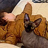 Corium is registered to the contest to win money with this photo: sphynx_cat, cat, child, sleeping, bed, brown_jacket, indoor, pillow, patterned_pillow, curious, hairless_cat, pet, resting, animal, cozy, blanket, comfort, relaxation, feline, portrait