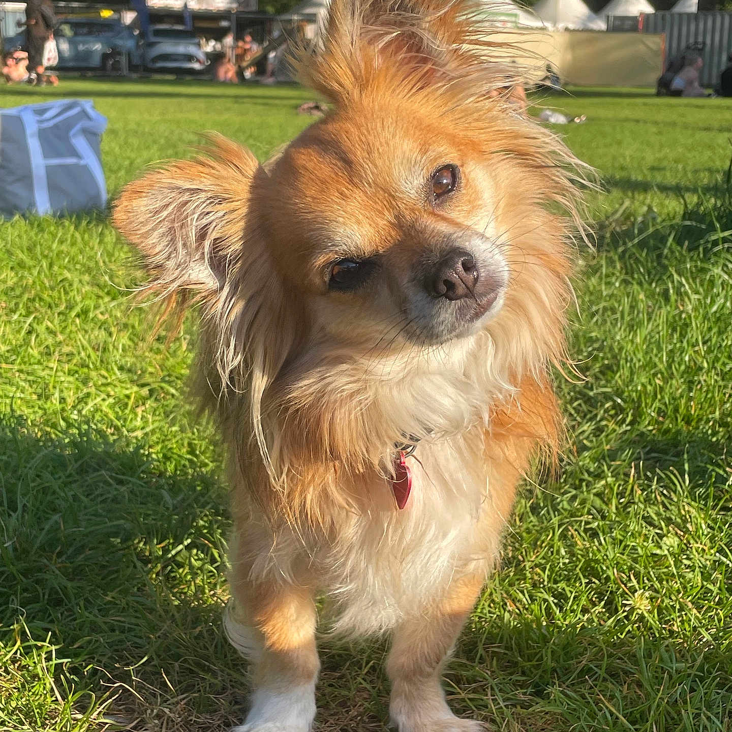 Tóny