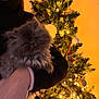 cat, christmas_tree, closeup, cozy, cute, decorations, festive, fluffy, furry, gray_cat, hand, holding, holiday, indoor, lights, ornaments, person, portrait, sweater, warm_lighting