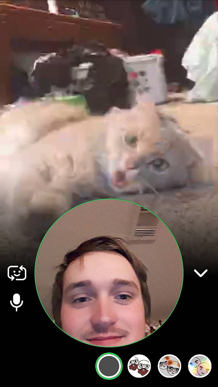 Oliver joined the competition — help win amazing prizes! face, head, nose, person, photo_caption, photography, selfie