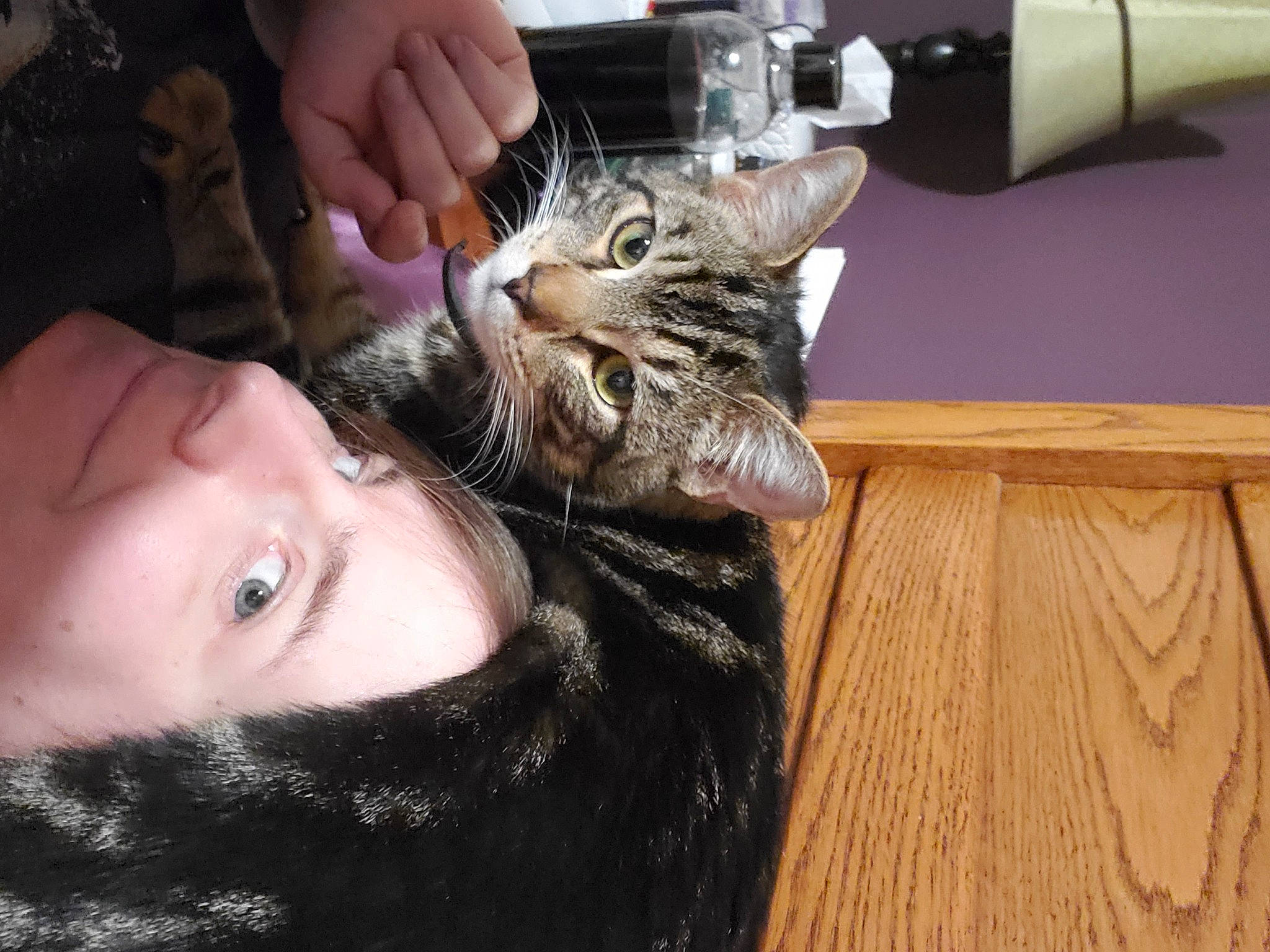 Bello is registered to the contest to win money with this photo: carnivore, cat, comfort, domestic_short_haired_cat, ear, eyelash, felidae, finger, fur, gesture, hand, hardwood, nail, paper_towel, skin, small_to_medium_sized_cats, snout, whiskers, wood, wood_stain