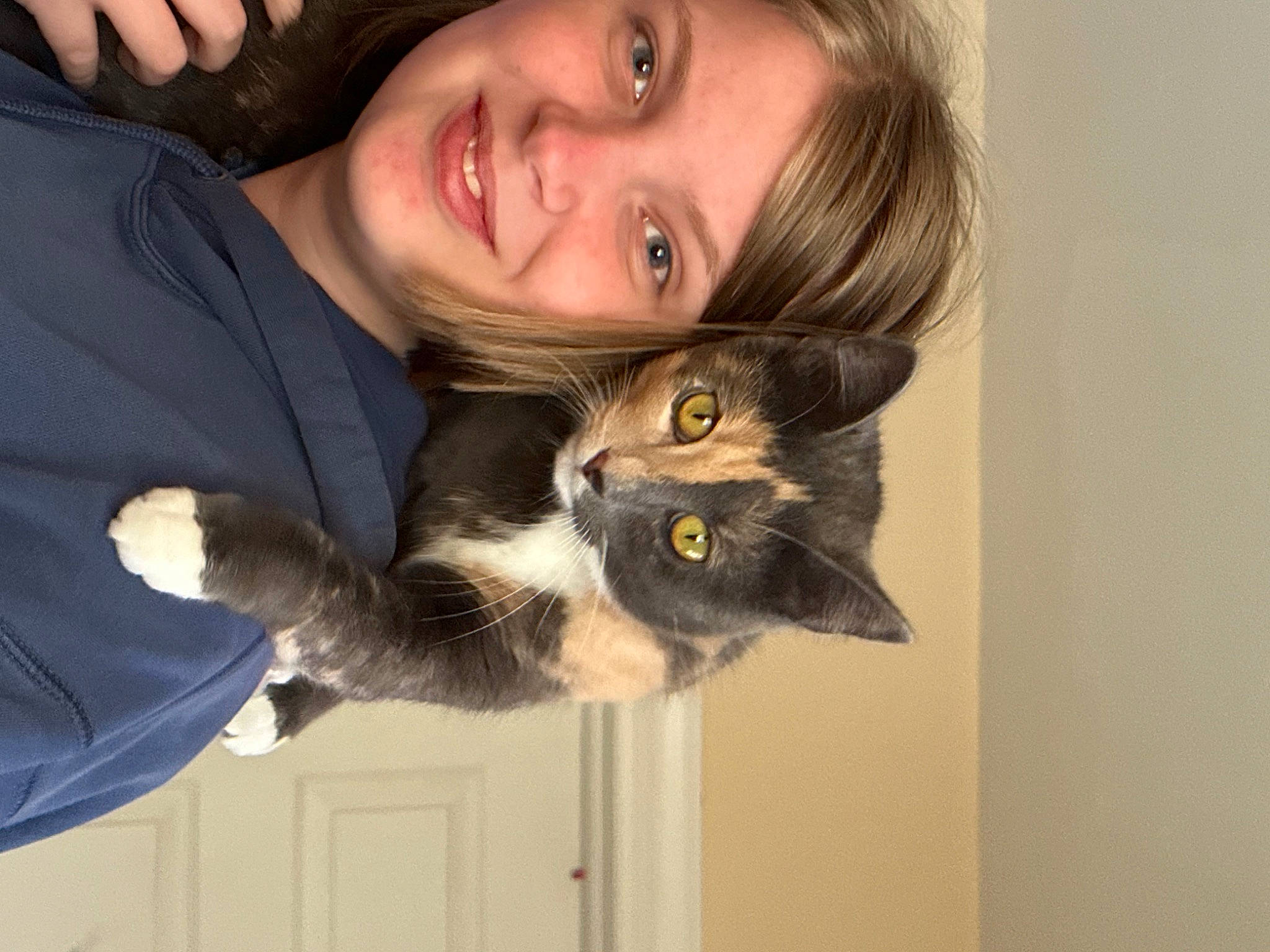 Athena joined the competition — help win amazing prizes! beard, carnivore, cat, claw, comfort, domestic_short_haired_cat, felidae, fur, gesture, happy, lap, laugh, long_hair, moustache, paw, small_to_medium_sized_cats, smile, snout, tail, whiskers