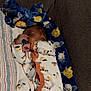 Yosohn joined the competition — help win amazing prizes! baby, sleeping, onesie, blanket, couch, infant, cozy, child, cute, patterned_clothing, animal_print, striped_blanket, indoors, resting, peaceful, toddler, soft, nap, comfort, young_child