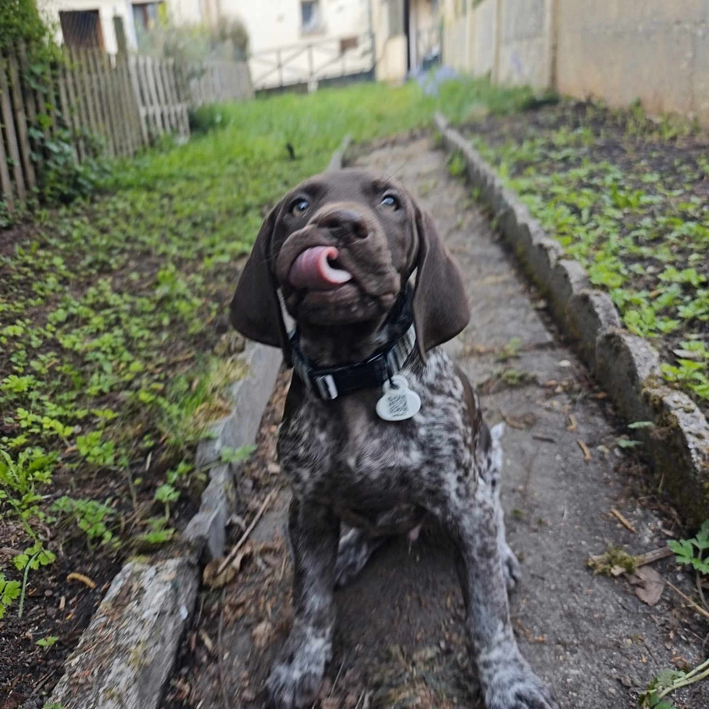 Baiko