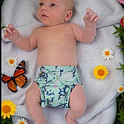 Dax is registered to the contest to win money with this photo: baby, infant, blanket, flowers, daisies, butterfly, grass, nature, outdoor, cute, child, skin, diaper, greenery, colorful, summer, peaceful, small, lying_down, soft
