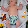 baby, infant, blanket, flowers, daisies, butterfly, grass, nature, outdoor, cute, child, skin, diaper, greenery, colorful, summer, peaceful, small, lying_down, soft