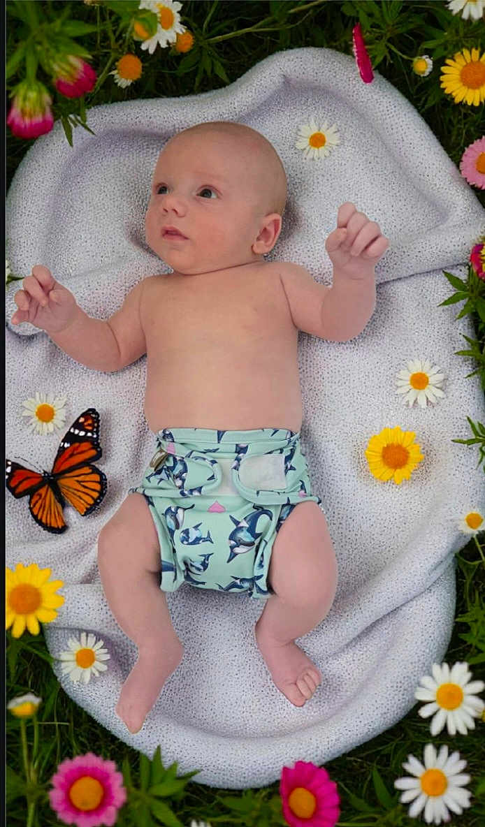 Dax is registered to the contest to win money with this photo: baby, infant, blanket, flowers, daisies, butterfly, grass, nature, outdoor, cute, child, skin, diaper, greenery, colorful, summer, peaceful, small, lying_down, soft