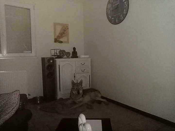 O Bly a rejoint le concours — aidez-le/la à gagner de superbes lots ! black_and_white, building, ceiling, floor, furniture, home, house, interior_design, living_room, plaster, property, room, table, wall, white