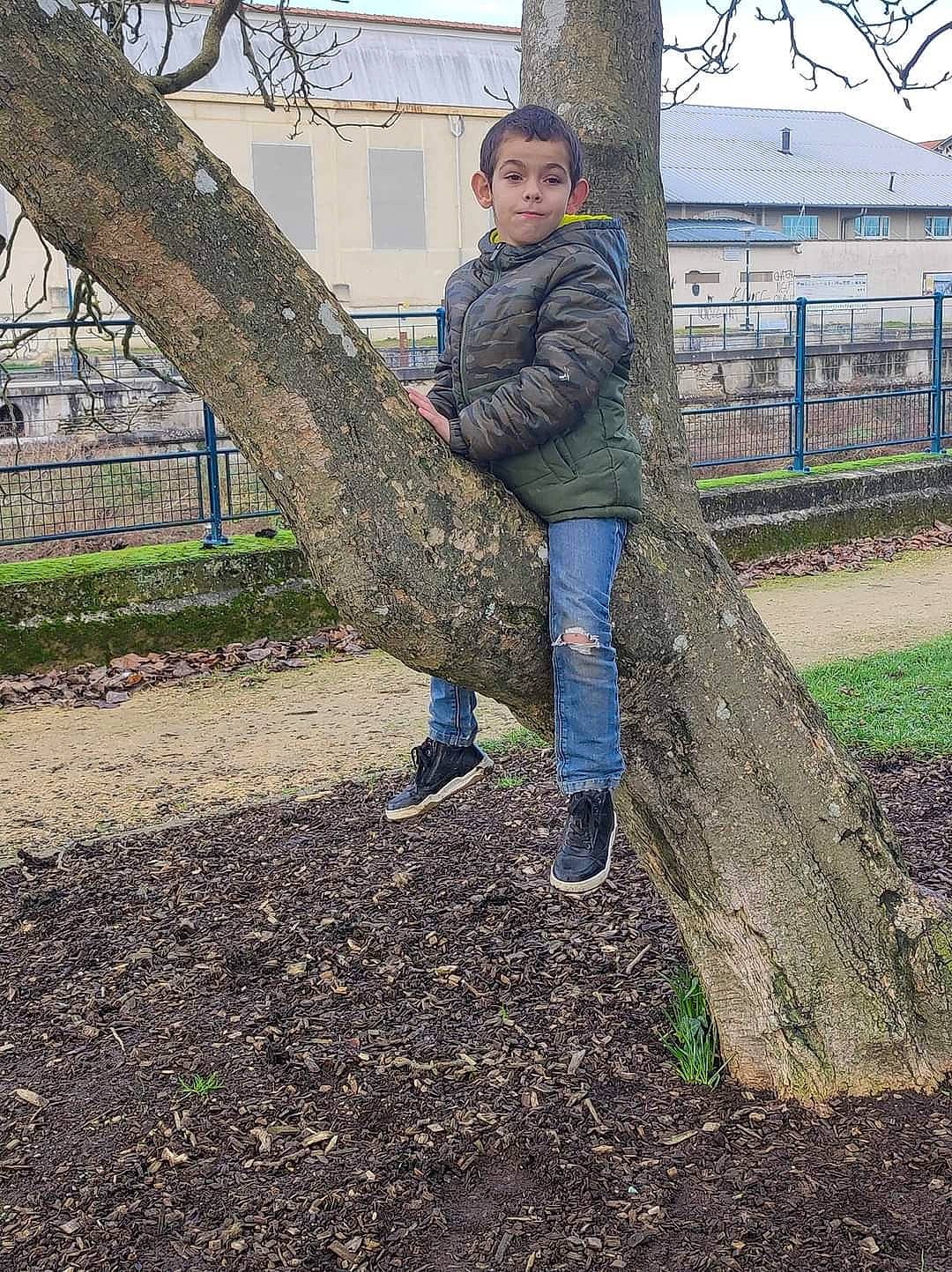 Nolan participe au concours pour gagner de l'argent avec cette photo : autumn, deciduous, denim, fence, fun, grass, happy, landscape, leisure, people_in_nature, person, plant, recreation, sitting, sky, soil, tree, trunk, twig, window