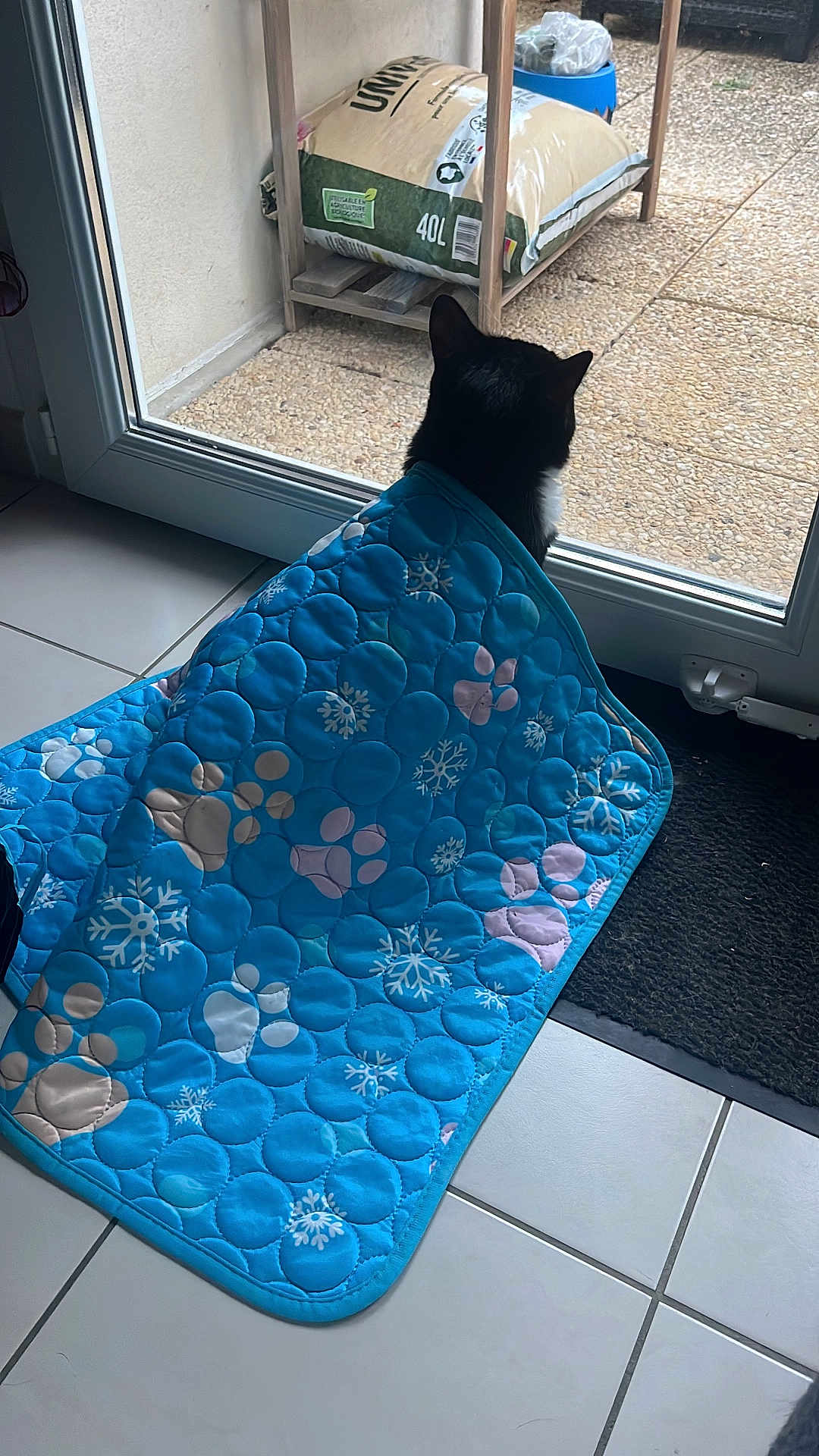 Kyara