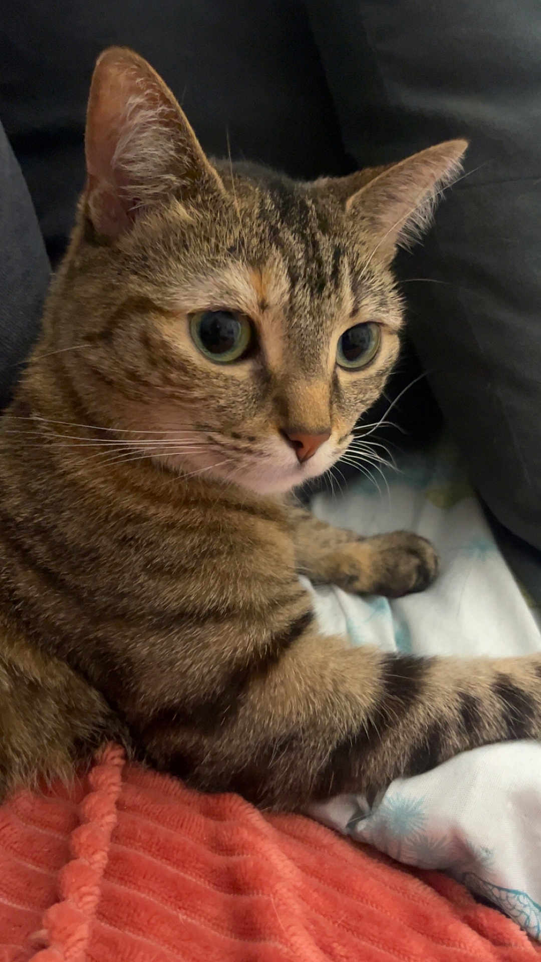 Siska
