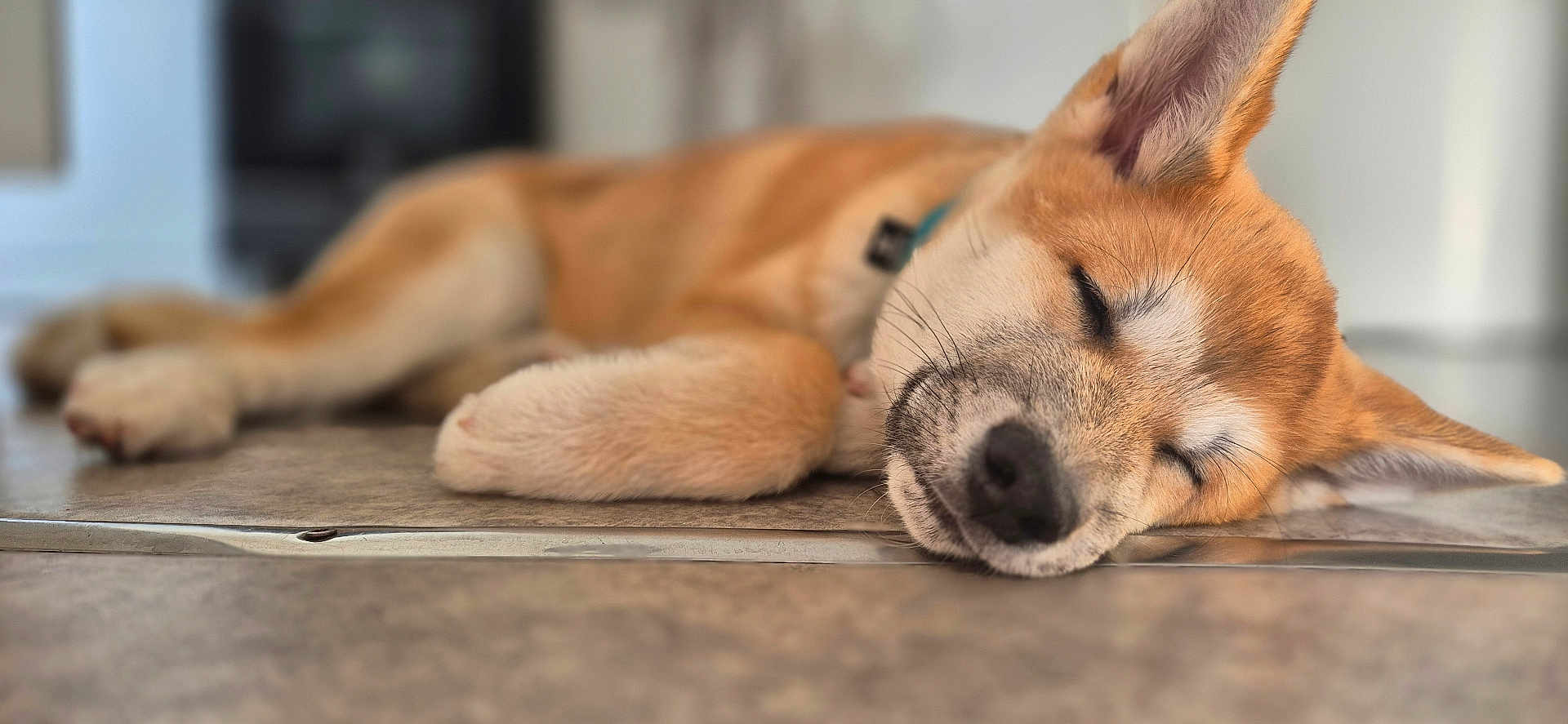 Odin