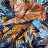 cat, ginger_cat, orange_cat, feline, pet, animal, whiskers, ears, yellow_eyes, striped_fur, short_hair, lounging, lying_down, relaxed, bed, blanket, floral_pattern, tropical_pattern, indoor, portrait