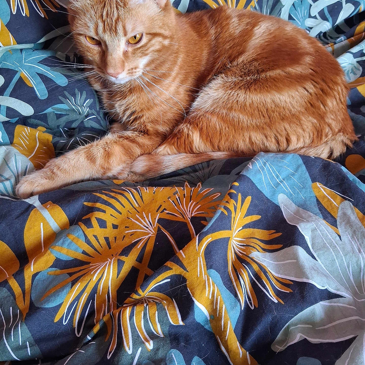 Caramel