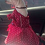 dog, small_dog, chihuahua, red_dress, polka_dot, pet_clothing, car_interior, blanket, window, ear, side_view, pet, animal, cute, sitting, looking_out, collar, sunlight, daytime, transport