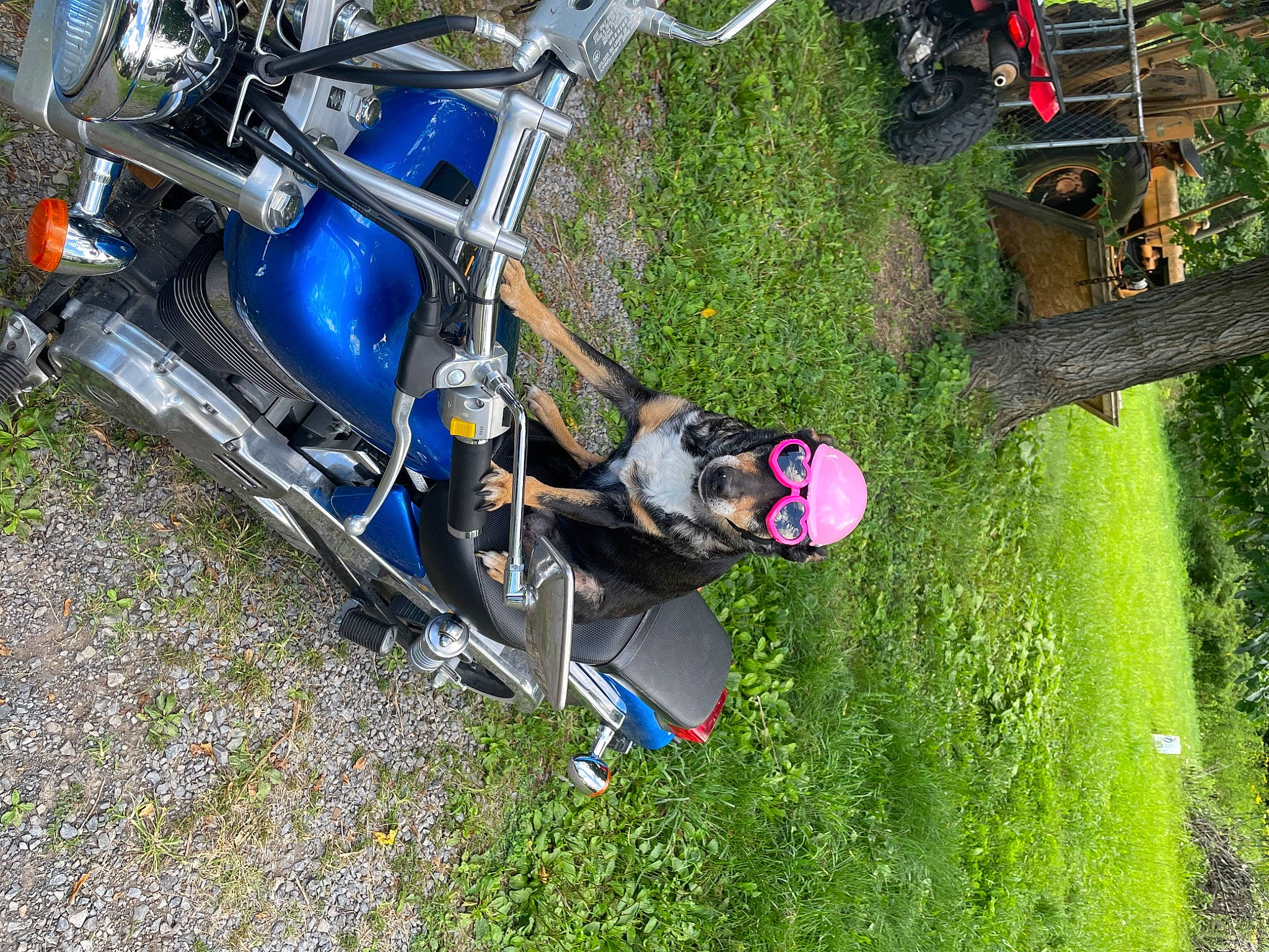 Kate is registered to the contest to win money with this photo: adventure, air_sports, automotive_exterior, automotive_tire, automotive_wheel_system, electric_blue, fender, grass, helicopter, helmet, landscape, leisure, motor_vehicle, plant, recreation, rim, tire, tree, vehicle, wheel