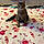 Fred
