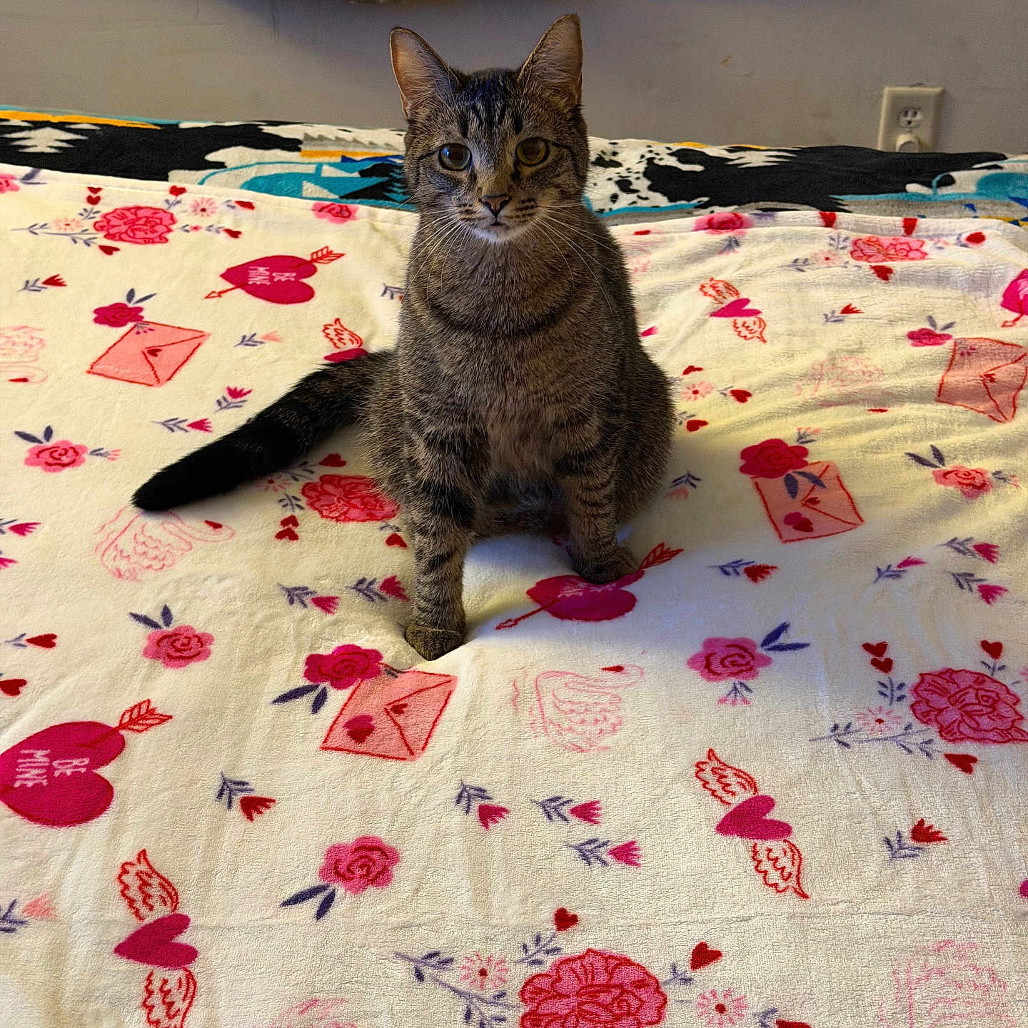 Fred