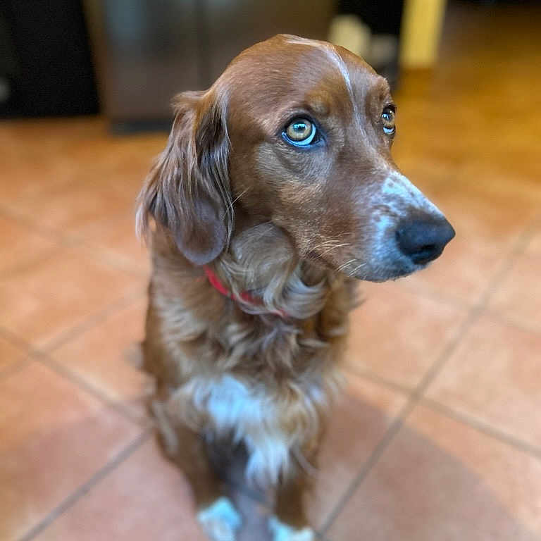 Jenna