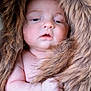 baby, infant, face, fur, blanket, skin, sleepy, cute, soft, child, closeup, hand, wrapped, cozy, warm, natural_light, portrait, young, expression, resting