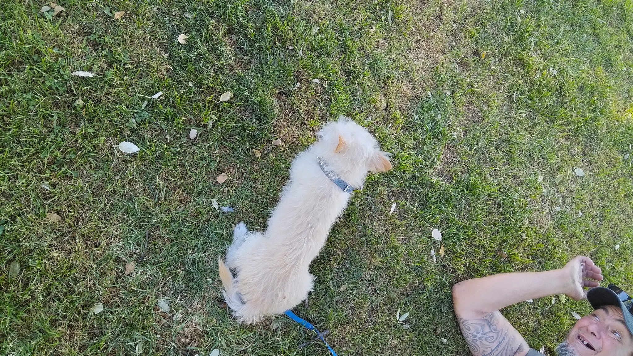 Pupup