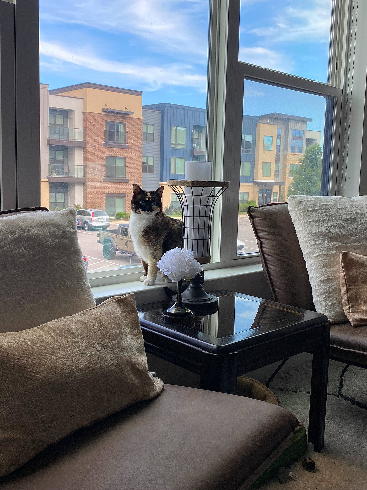 Delphine is registered to the contest to win money with this photo: building, carnivore, cat, chair, cloud, comfort, couch, felidae, floor, furniture, house, interior_design, property, real_estate, shade, sky, skyscraper, textile, window, wood