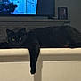 Serafin joined the competition — help win amazing prizes! black_cat, cat, pet, animal, indoor, ledge, relaxed, paw, feline, resting, dark, shadow, television, screen, home, domestic, window, glowing_eyes, lying_down, quiet
