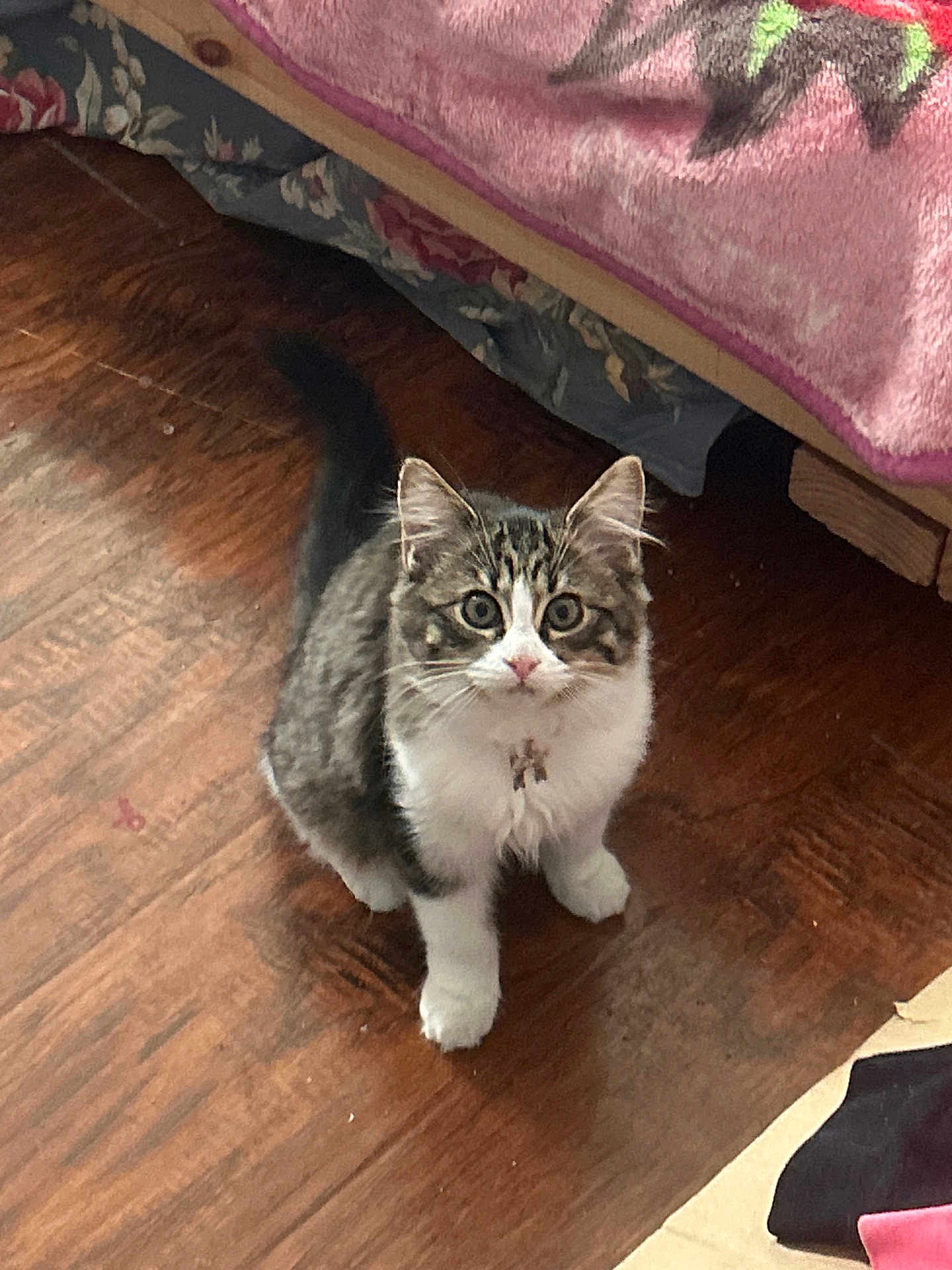 Lucy