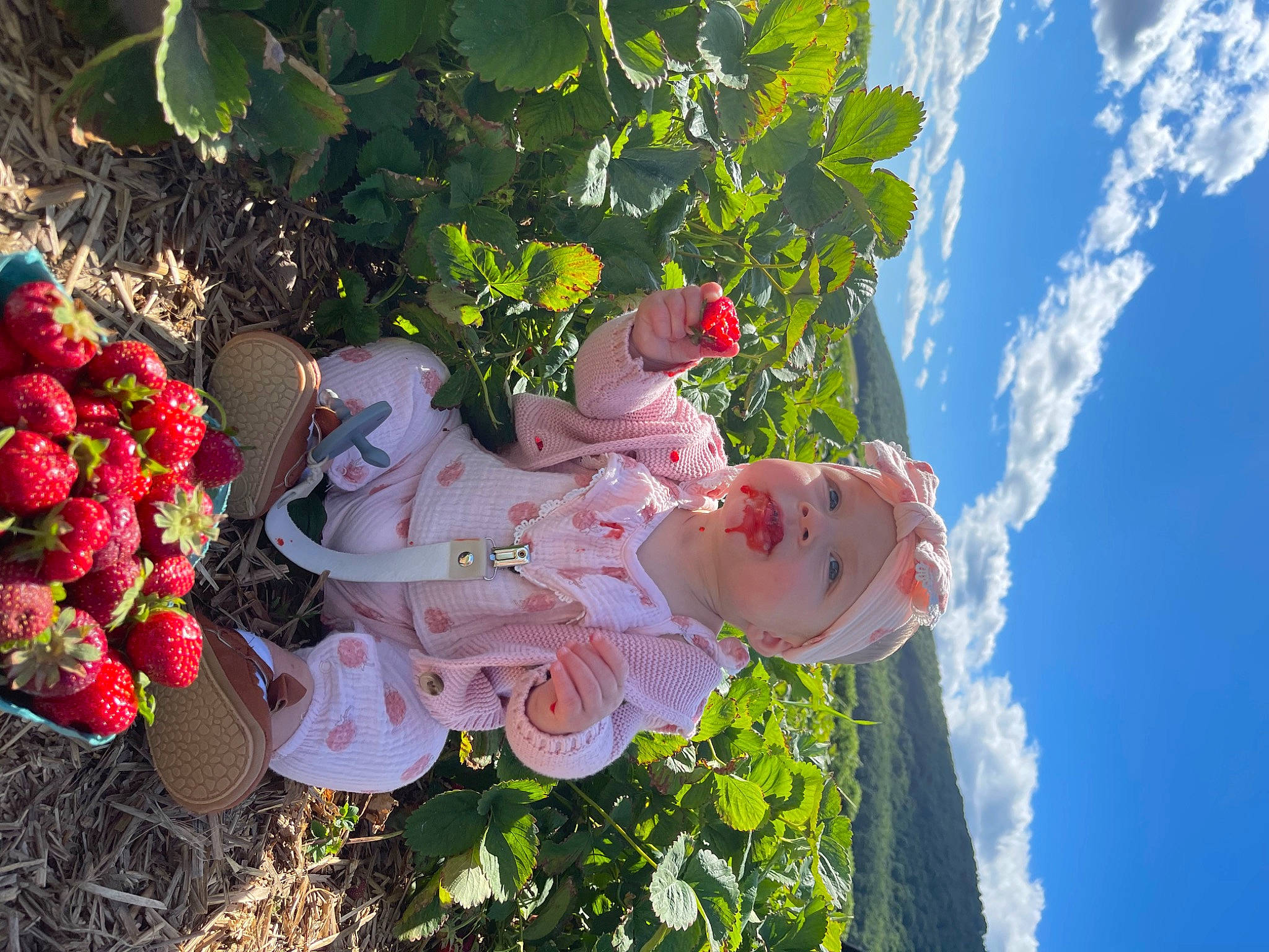 Emberlyn is registered to the contest to win money with this photo: annual_plant, cloud, dress, floral_design, flower, flower_arranging, flowering_plant, grass, groundcover, happy, headwear, leisure, people_in_nature, person, petal, plant, rose, rose_family, shrub, sky