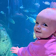 Mila Bella participe au concours pour gagner de l'argent avec cette photo : baby, child, pink_clothing, aquarium, fish, underwater, water, smile, curious, portrait, face, hand, marine_life, blue_background, cute, exploration, indoor, young_child, happy, playful